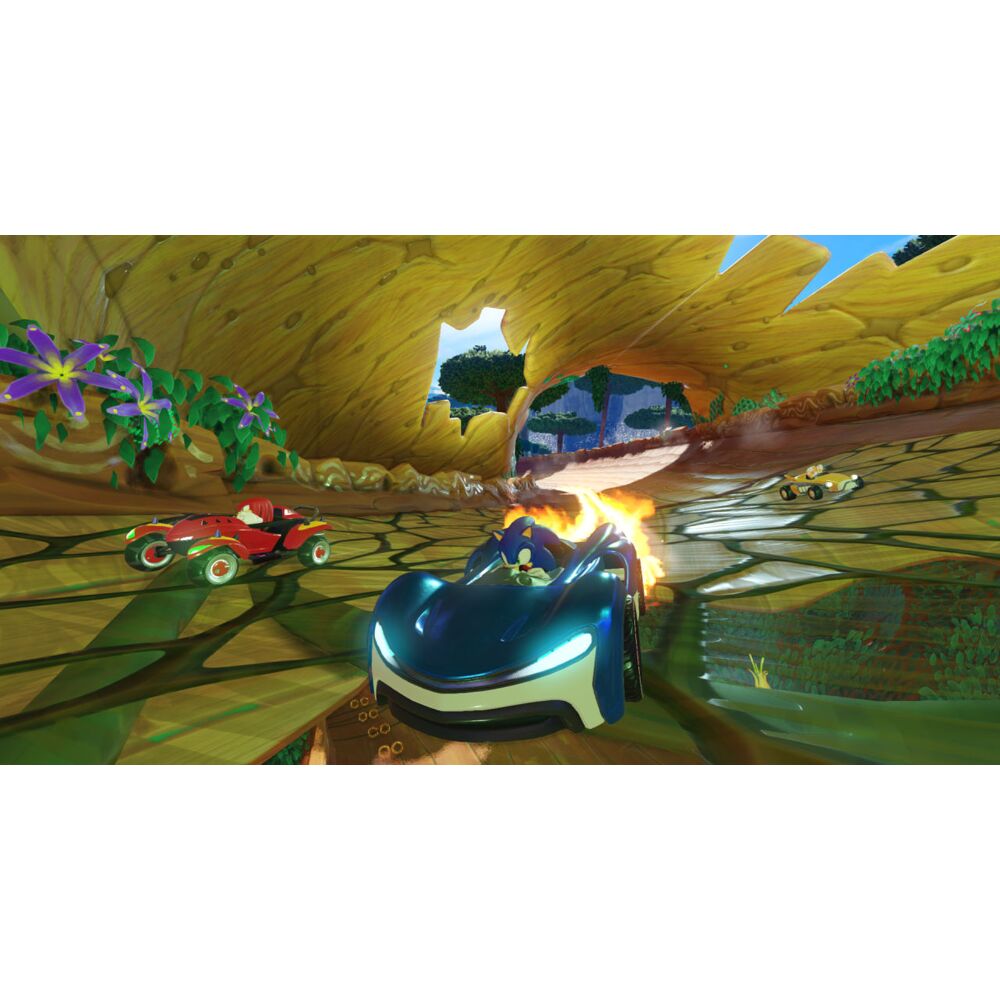 Team sonic deals racing ps4